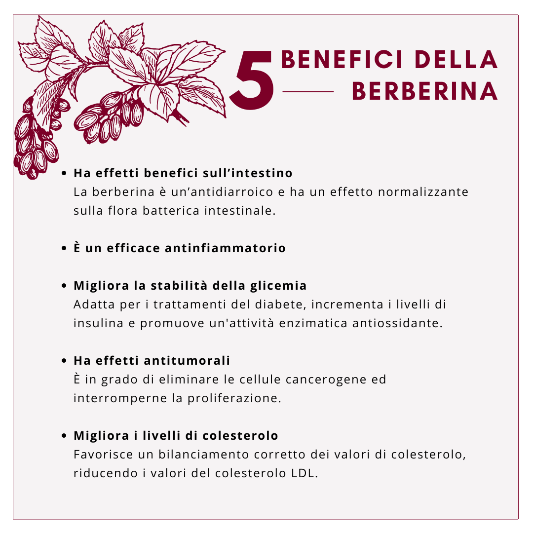 STEM POWER - più acquisti, più risparmi!